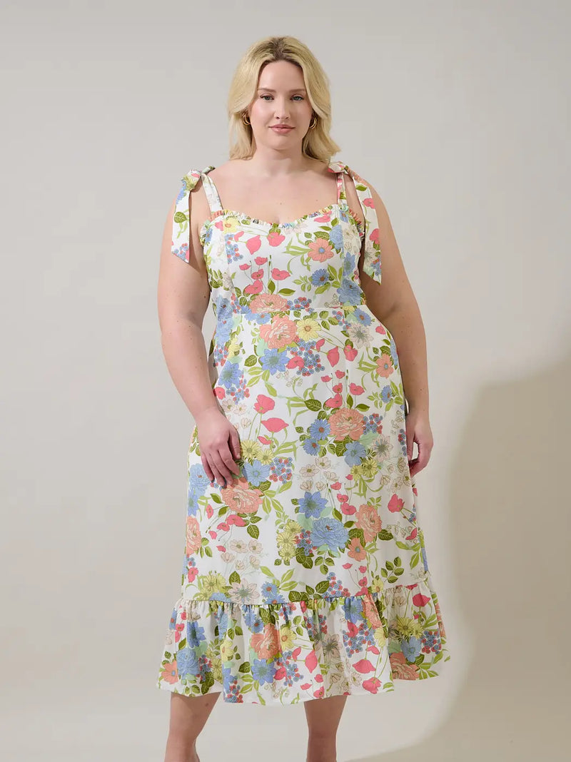 Curvy Collection